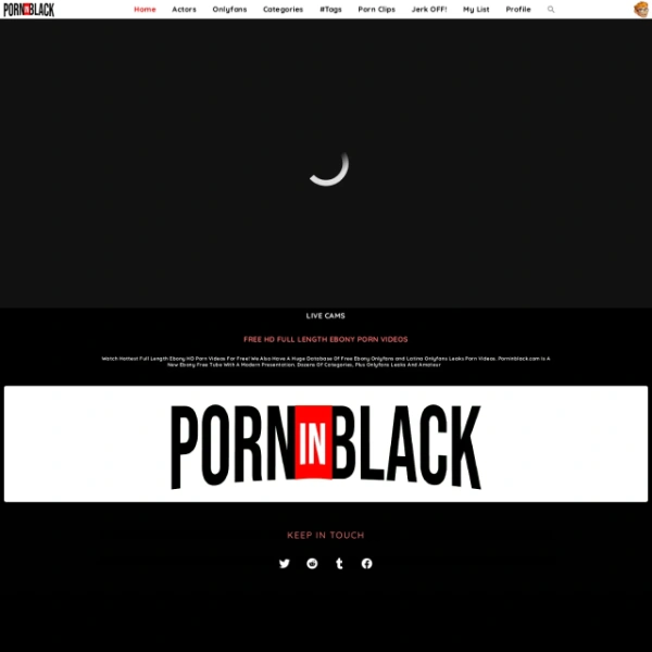 PornInBlack on freeporned.com