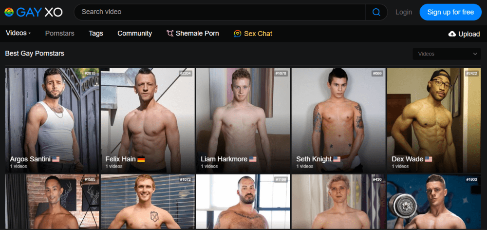 gay porn star